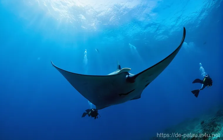 팔라우 스쿠버다이빙 라이센스 취득 - **Open Water Diver Training in a Vibrant Palau Reef:**
    "A wide-angle underwater shot featuring a...