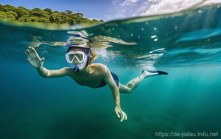 팔라우 스쿠버다이빙 라이센스 취득 - **Open Water Diver Training in a Vibrant Palau Reef:**
    "A wide-angle underwater shot featuring a...