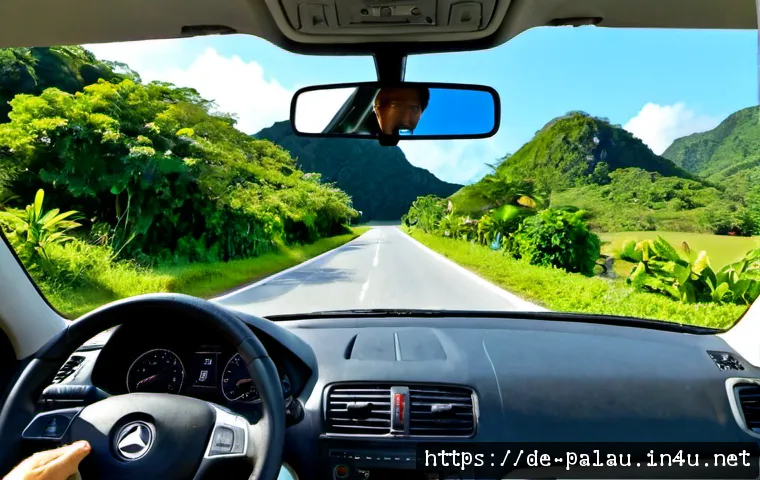 Autofahren auf Palau: Mietwagen, Verkehrsregeln und die passende Route wählen 3 팔라우에서의 운전법 관련 이미지 1